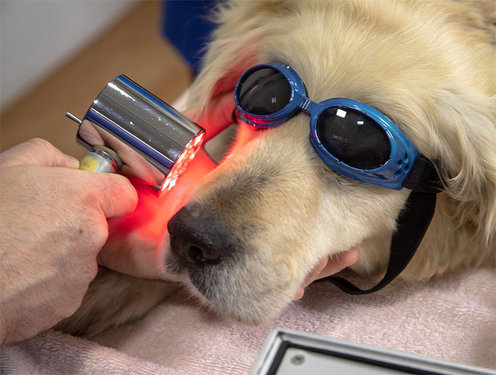 Cold Laser Therapy